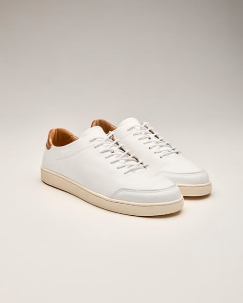 laydown detail image of Pebbled Leather Terra Low Sneaker