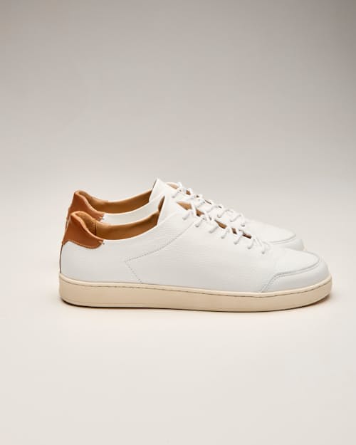 laydown detail image of Pebbled Leather Terra Low Sneaker