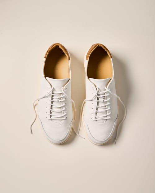 laydown detail image of Pebbled Leather Terra Low Sneaker