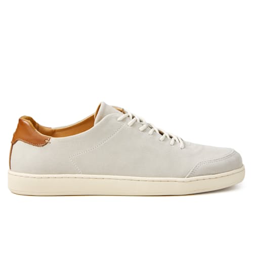 laydown image of Suede Terra Low Sneaker