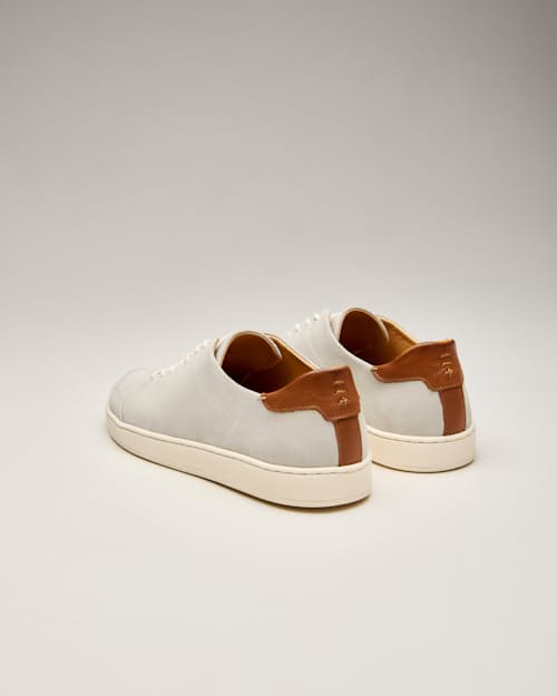 laydown detail image of Suede Terra Low Sneaker