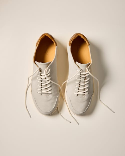 laydown detail image of Suede Terra Low Sneaker