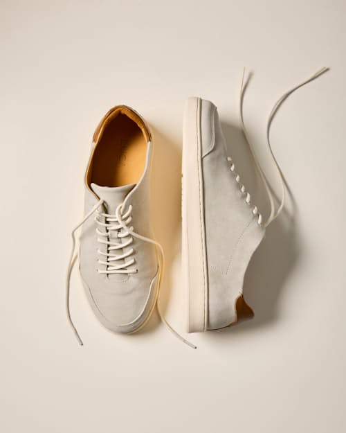 laydown detail image of Suede Terra Low Sneaker