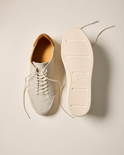 laydown detail image of Suede Terra Low Sneaker