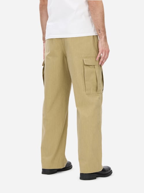 on model image of Cargo Pant