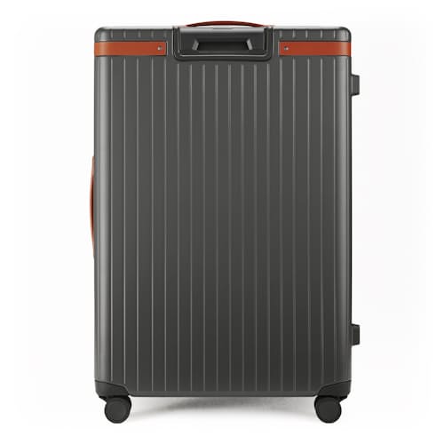 laydown image of The Check-In Large Luggage - 105L