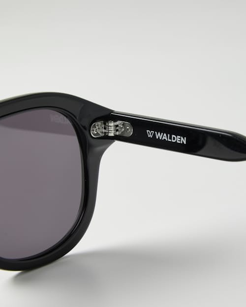 laydown detail image of Airman Sunglasses