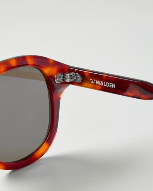 laydown detail image of Airman Sunglasses