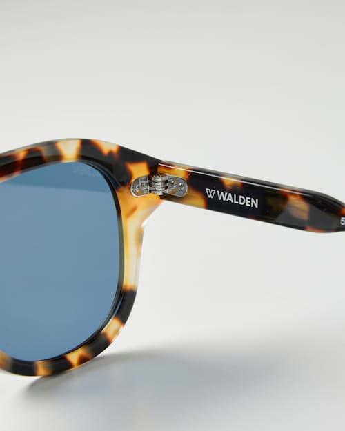 laydown detail image of Airman Sunglasses