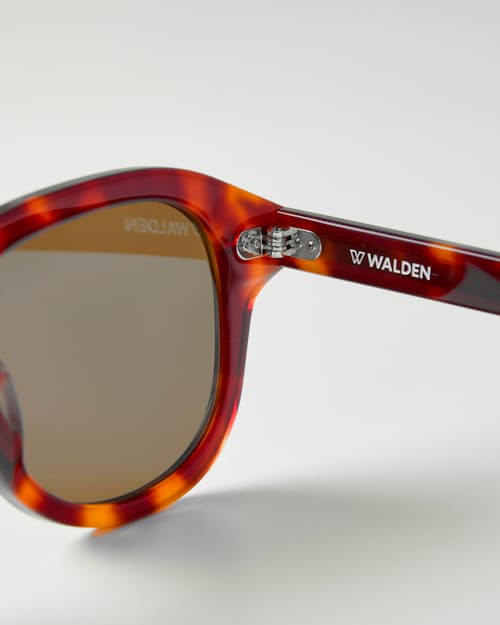 laydown detail image of Airman Sunglasses - Polarized