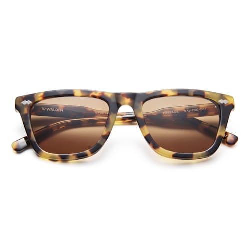 laydown image of Passage Sunglasses