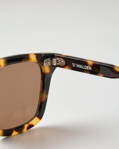 laydown detail image of Passage Sunglasses