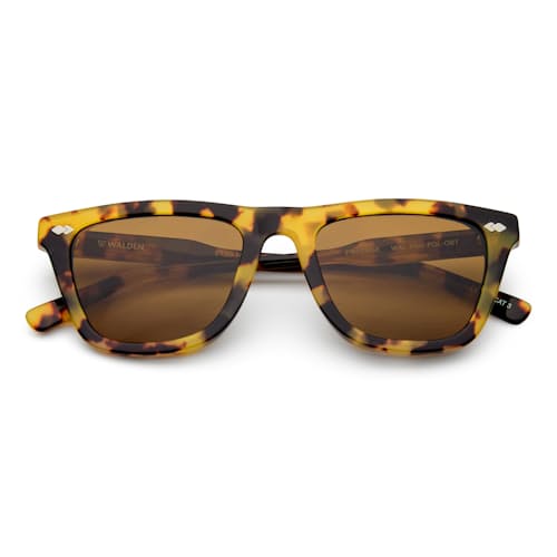 laydown image of Passage Sunglasses - Polarized