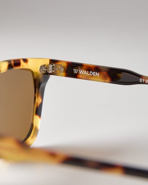 laydown detail image of Passage Sunglasses - Polarized