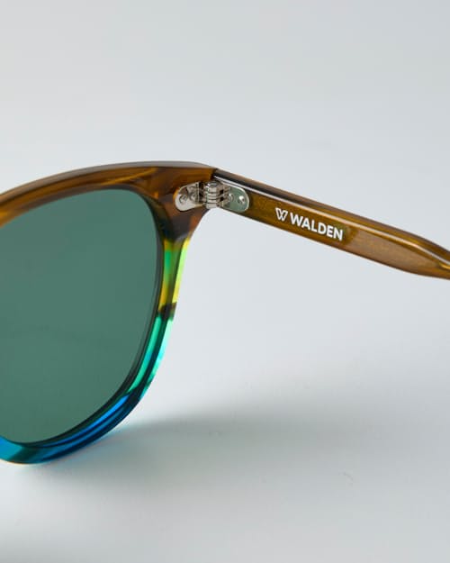 no crop image of Woods Sunglasses - Polarized