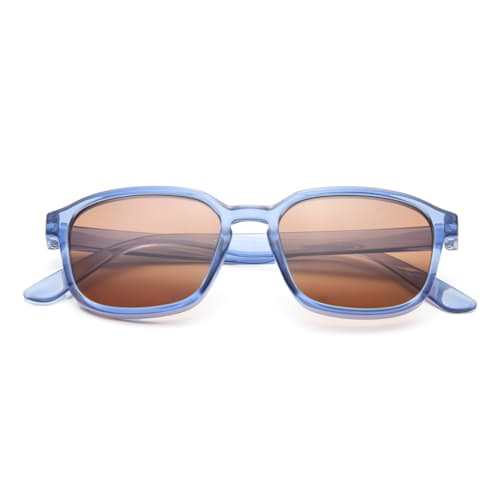 laydown image of Sunseekers Sunglasses
