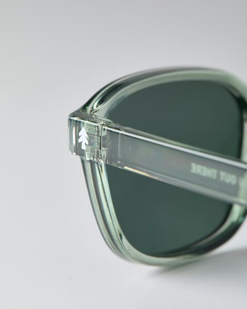laydown detail image of Sunseekers Sunglasses