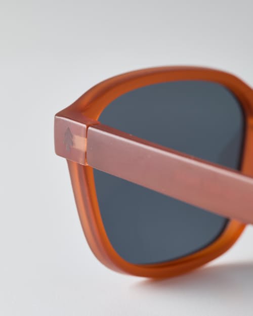 laydown detail image of Sunseekers Sunglasses