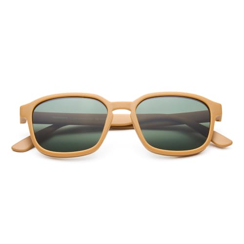 laydown image of Sunseekers Sunglasses