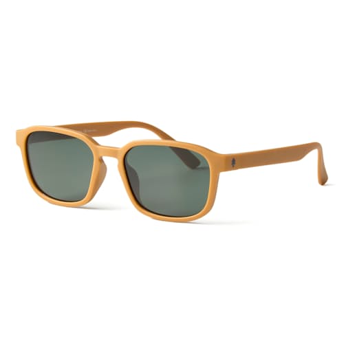 laydown image of Sunseekers Sunglasses