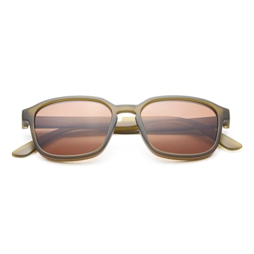 laydown image of Sunseekers Sunglasses