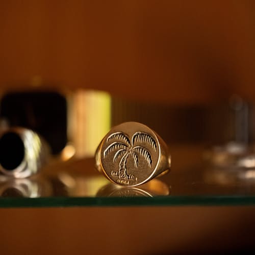 lifestyle image of Palm Tree Signet Ring