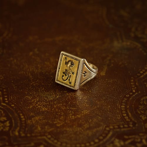 lifestyle image of Panther Ring