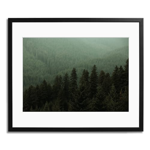 laydown image of Evergreen - Huckberry Archives