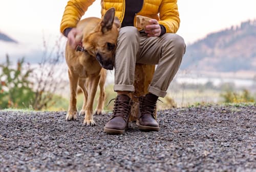 lifestyle image of Waterproof Boulder Summit Boot
