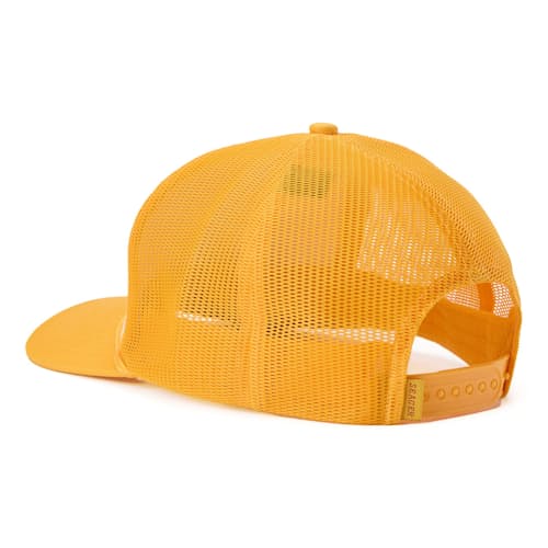 laydown image of Pack Mule Snapback