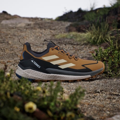 lifestyle image of Terrex Free Hiker 2 Low GTX Sneaker