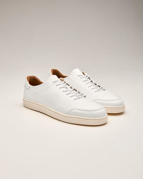 laydown detail image of Pebbled Leather Terra Low Sneaker