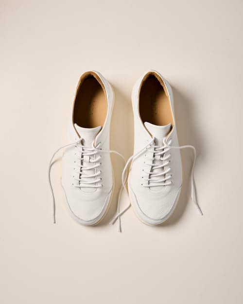 laydown detail image of Pebbled Leather Terra Low Sneaker