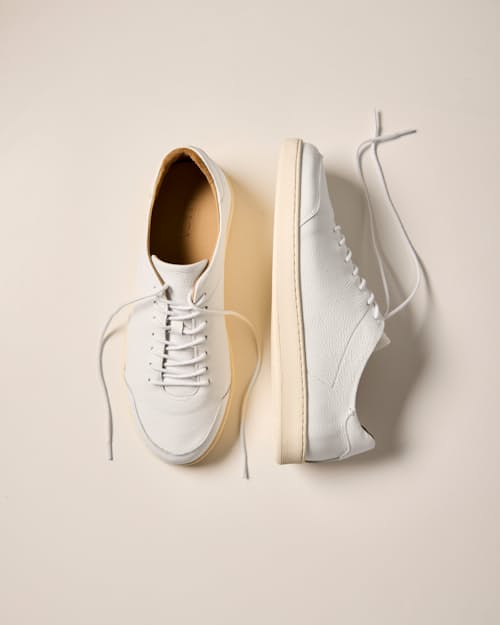 laydown detail image of Pebbled Leather Terra Low Sneaker