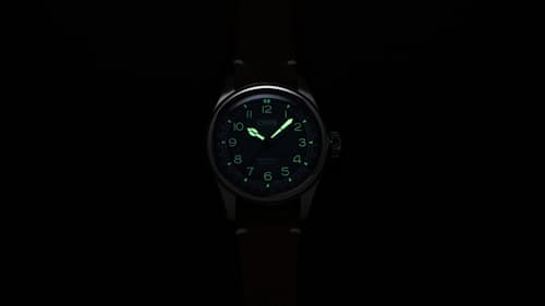 laydown detail image of Oris X Cervo Volante