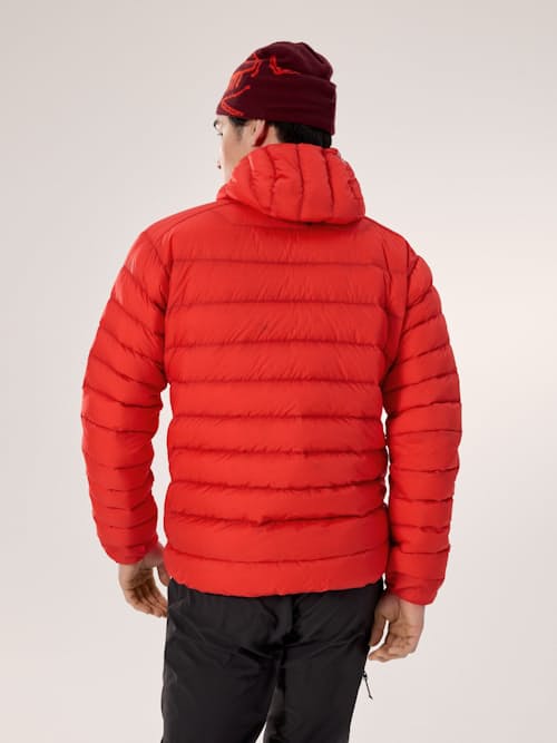 on model image of Cerium Hoodie