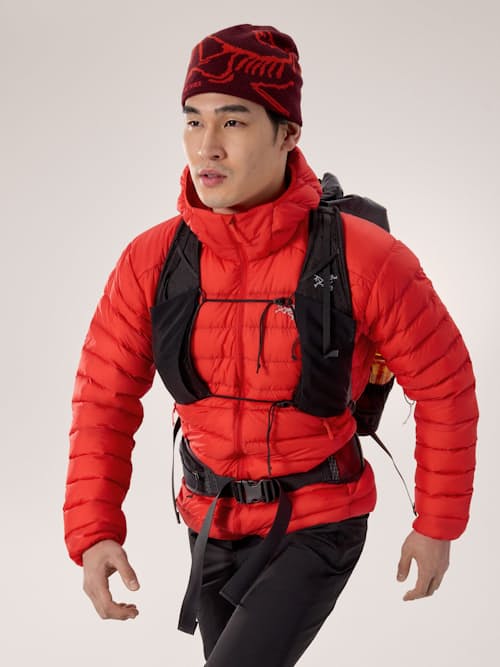 on model image of Cerium Hoodie