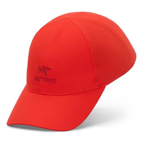 laydown image of Bird Word Baseball Cap