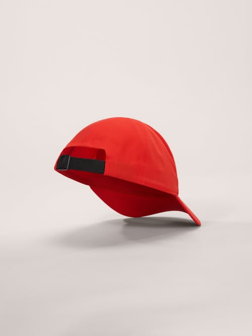no crop image of Bird Word Baseball Cap