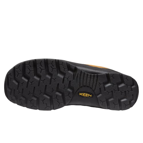 laydown image of Jasper Sneaker