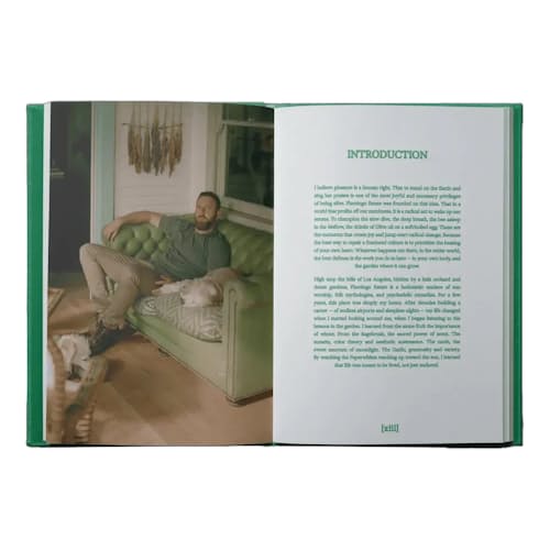 laydown image of The Guide to Becoming Alive