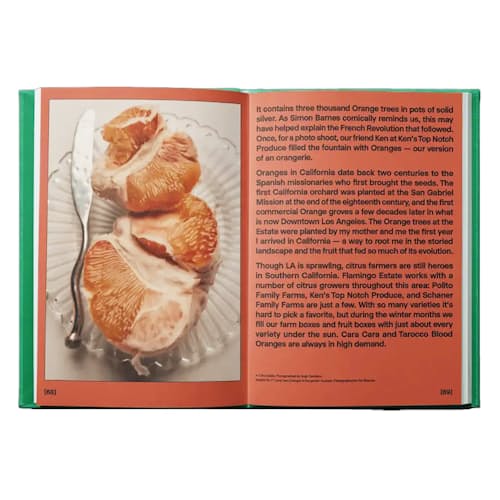 laydown image of The Guide to Becoming Alive