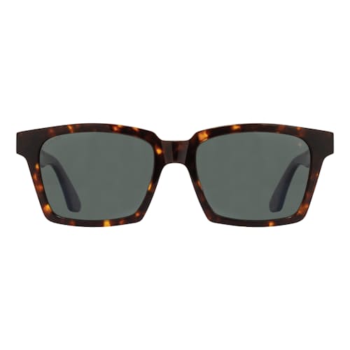 laydown image of Adams Sunglasses