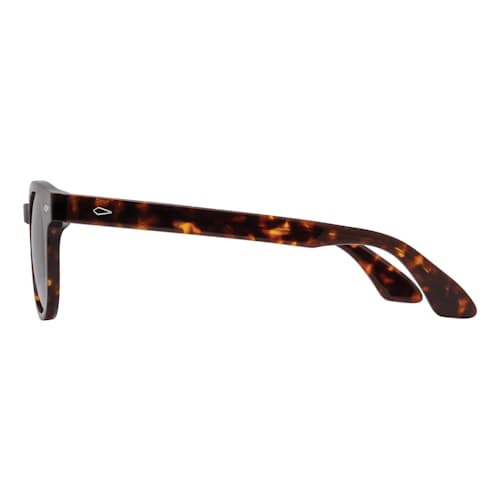 laydown image of Hadley Sunglasses