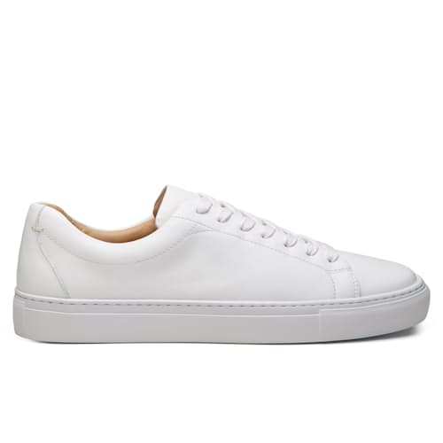 laydown image of Court Sneaker