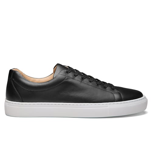 laydown image of Court Sneaker