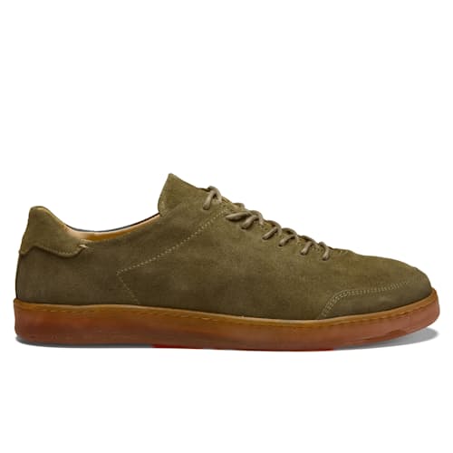 laydown image of Suede Terra Low Sneaker