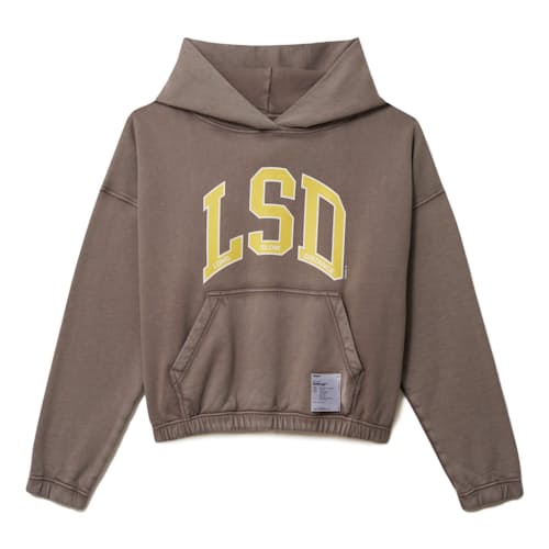 laydown image of SoftCell Hoodie