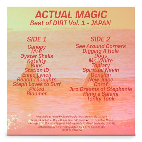 laydown image of DIRT Japan Soundtrack Vinyl