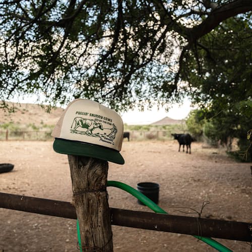 lifestyle image of Skinny Cows Trucker Hat
